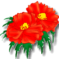 Fleur