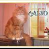 Balto, Dakota