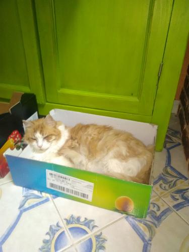 Photo du défunt