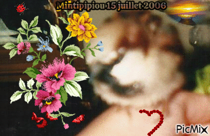 Photo du défunt