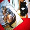 MINETTE