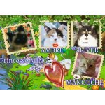 MING AMBRE OLIVER MANOUCHE